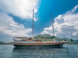 酒店照片: Traditional Sailing Yacht