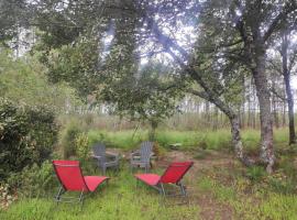 होटल की एक तस्वीर: luxueux mobile home dans la forêt des landes