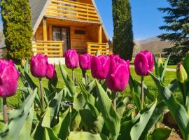 Zdjęcie hotelu: Chalet Velebitska Kuća