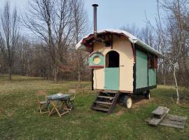 Hotel foto: Shepherd's hut in nature