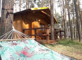 Zakątek Borsk, Jasnochówka 2, domek 37, hotel v destinaci Borsk