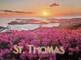 Хотел снимка: Mountain Top Condo, St. Thomas USVI