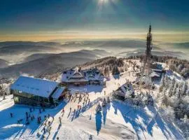 Krynicka Koliba na Jaworzynie Krynickiej