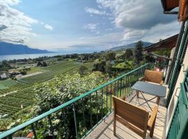 Hotel Photo: La Vigneronne, Lake view