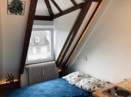 Hotelfotos: Strasbourg quartier de l’orangerie