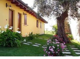 Gambaran Hotel: Ferienwohnung in Notaresco mit Grill und Garten