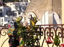 L'Osservatorio - Luxury Guest House，卡普里的飯店
