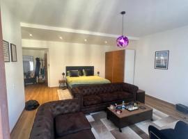 호텔 사진: Magnificent apartment, Geneva Center, Geneva Lake