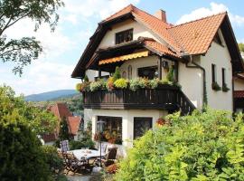 Хотел снимка: Große Ferienwohnung in Rauenstein mit Garten, Terrasse und Grill und Panoramablick