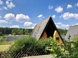 Hotel Photo: Wooden chalet with oven in Oberharz near a lake