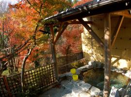 Hotel Photo: Sawatari Onsen Miyataya Ryokan