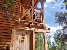 Cabaña en el Bosque de San José del Pacífico 3, ξενοδοχείο σε El Pacífico