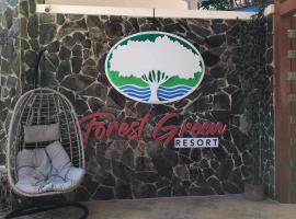 Gambaran Hotel: Forest green resort