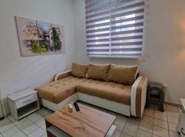 Studio Petrovac B, Hotel in Opština Petrovac na Mlavi