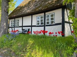 A picture of the hotel: Sofie's Hus - Munkgaard Bed & Breakfast