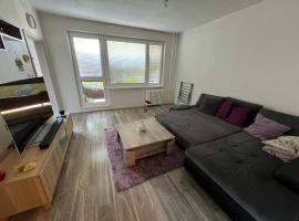 Hotel Foto: Apartment Maluchy