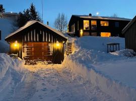 Hotel fotoğraf: Villa close to Granåsen