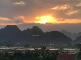 Happy field homestay Phong Nha