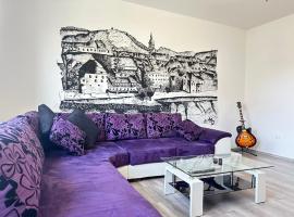 รูปภาพของโรงแรม: Maribor Central Apartment (Garden + Free Parking)