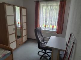 A picture of the hotel: Privatwohnung Zwickau