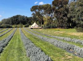 A picture of the hotel: Lavender glamping