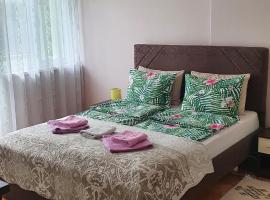 होटल की एक तस्वीर: Apartman Centar