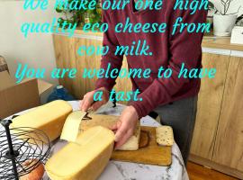 Riverside Karakol – hotel w mieście Karakoł