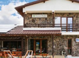 Pensiunea Banffy, hotel u gradu 'Topliţa'