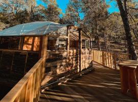 A picture of the hotel: Glamping en la Sierra de Arteaga