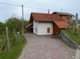 Photo de l’hôtel: Vineyard cottage Mavrica