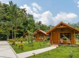 La Fortuna Natural Green