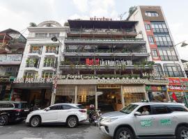 酒店照片: Sapa Hai Yen Hotel and Apartment