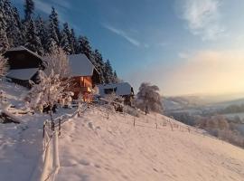 Zdjęcie hotelu: Ferienwohnung in Emmentaler Bauernhaus, Vogelsang