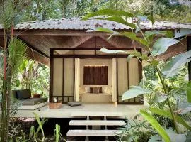 AIRE Jungle Boutique Hotel