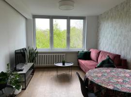 होटल की एक तस्वीर: Apartament Skośna 10