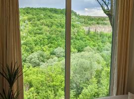 TwinHouse "Family Estate", ξενοδοχείο σε Kamianets-Podilskyi