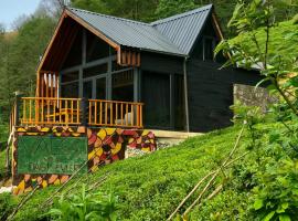 VAESS Villa Dağ Evleri, hôtel à Çamlıhemşin