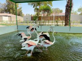 Фотография гостиницы: Flamingo Cottages