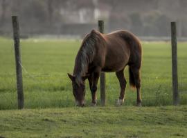 होटल की एक तस्वीर: Agriturismo Al Botteniga