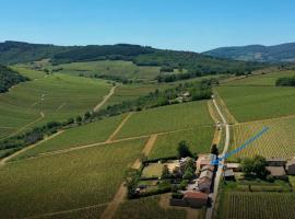 Фотография гостиницы: Le Tinailler Grand Standing au Cœur des Vignes