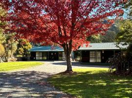 Kiwi Park Motels, hotel in Murchison