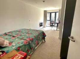 A picture of the hotel: Spacious Flat One bedroom