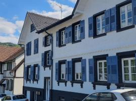 Hotel fotoğraf: Ferienhaus Bühlertal mit 3 Fewos