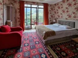 North Kazbegi