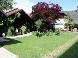 Hotelfotos: Frenk cottage 5 KM FROM THE AIRPORT-free transportation