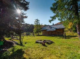 Hotelfotos: Galsterbergalm Jagdhütte