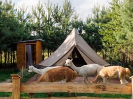 A picture of the hotel: Glamping - Projekt Alpaka