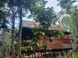 Pondok Wisata kamtabai Forest Hut, hotel in Wairemah