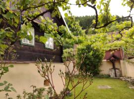 Hotel fotoğraf: Casa Florica wooden house