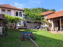 Vila Kruna, hotel v destinaci Pirot